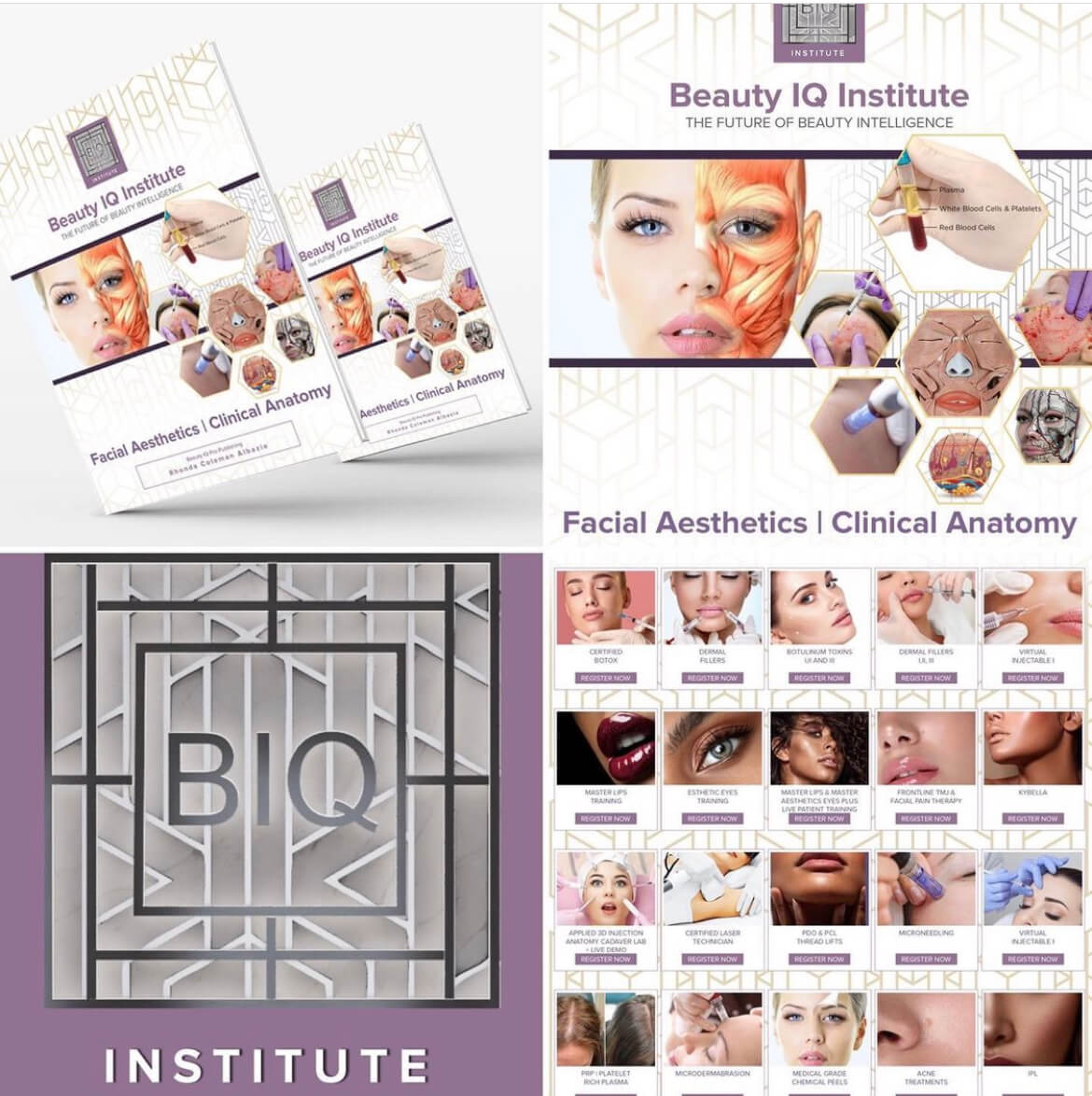 Beauty IQ Institute Aesthetics Injectables Group