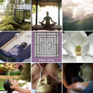 Beauty IQ Pro Spa Zen Escape Wellness Retreat