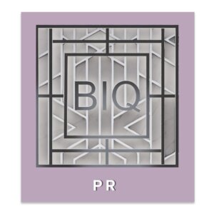 Beauty IQ Pro PR, Public and Media Relations and Publicity