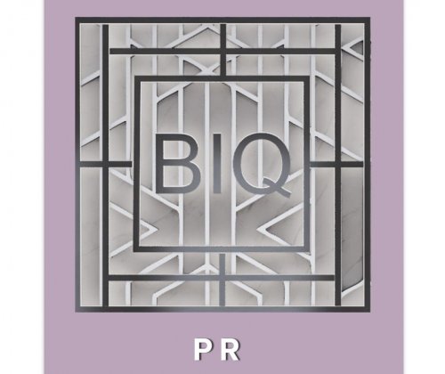 Beauty IQ Pro PR, Public and Media Relations and Publicity